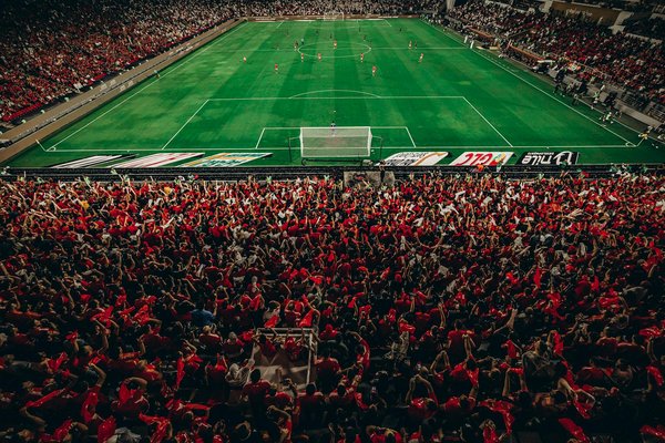 Welche Rolle spielen Supplemente im Muskelaufbau?